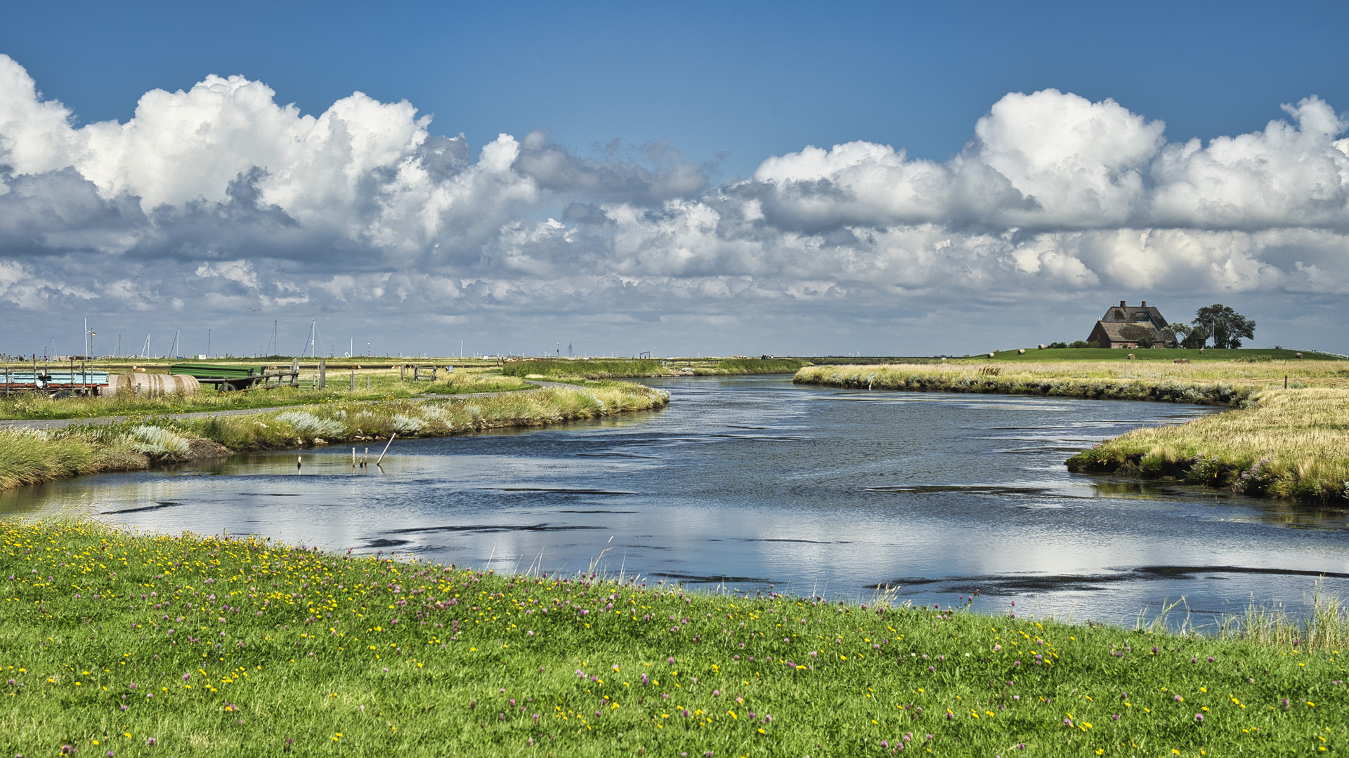 auf Hallig Hooge