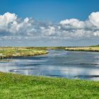 auf Hallig Hooge