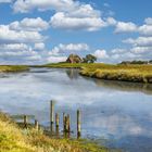 Auf Hallig Hooge