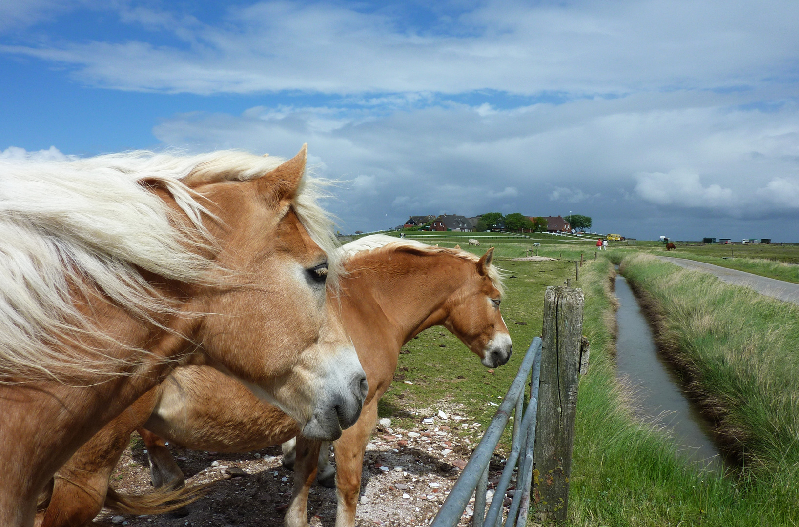 ... auf Hallig Hooge... ausruhen nach getaner Arbeit