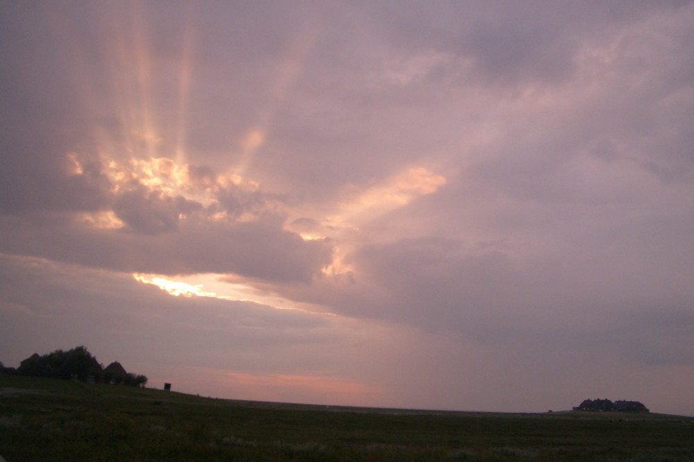 ..auf Hallig Hooge