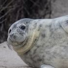 Auf Helgoland