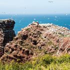 Auf Helgoland 2