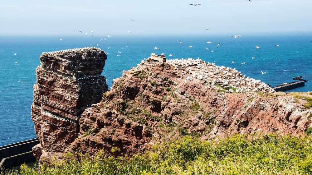 Auf Helgoland 2