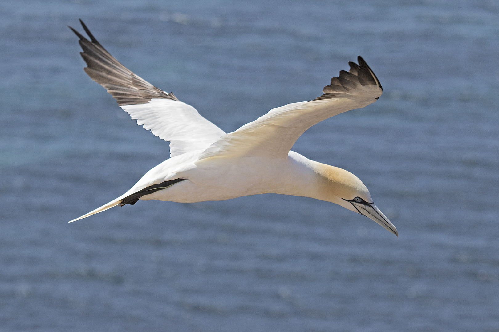 Auf Helgoland 3