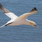 Auf Helgoland 3