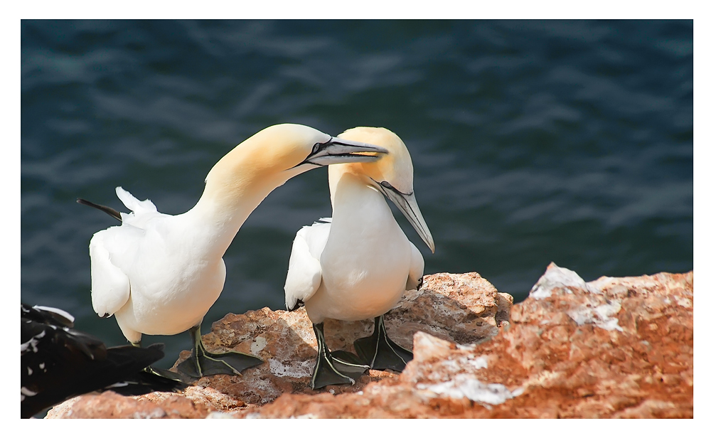 auf Helgoland