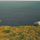 Auf Helgoland