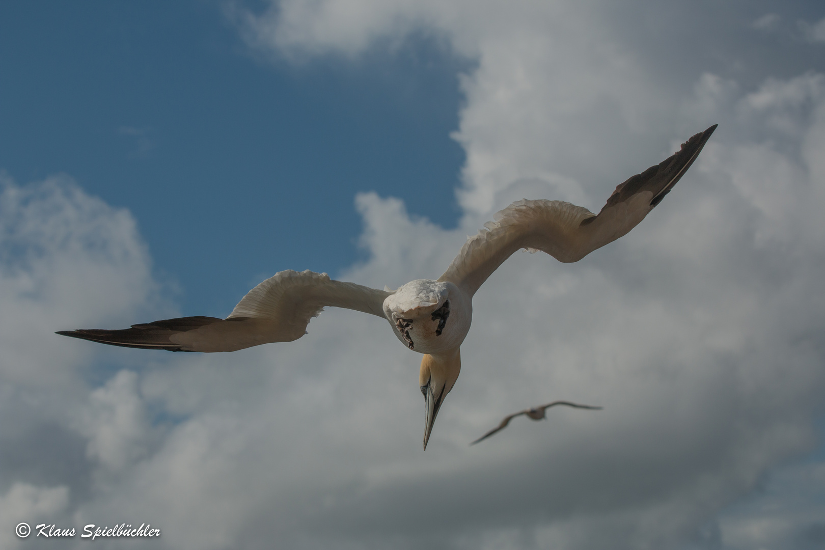 auf Helgoland