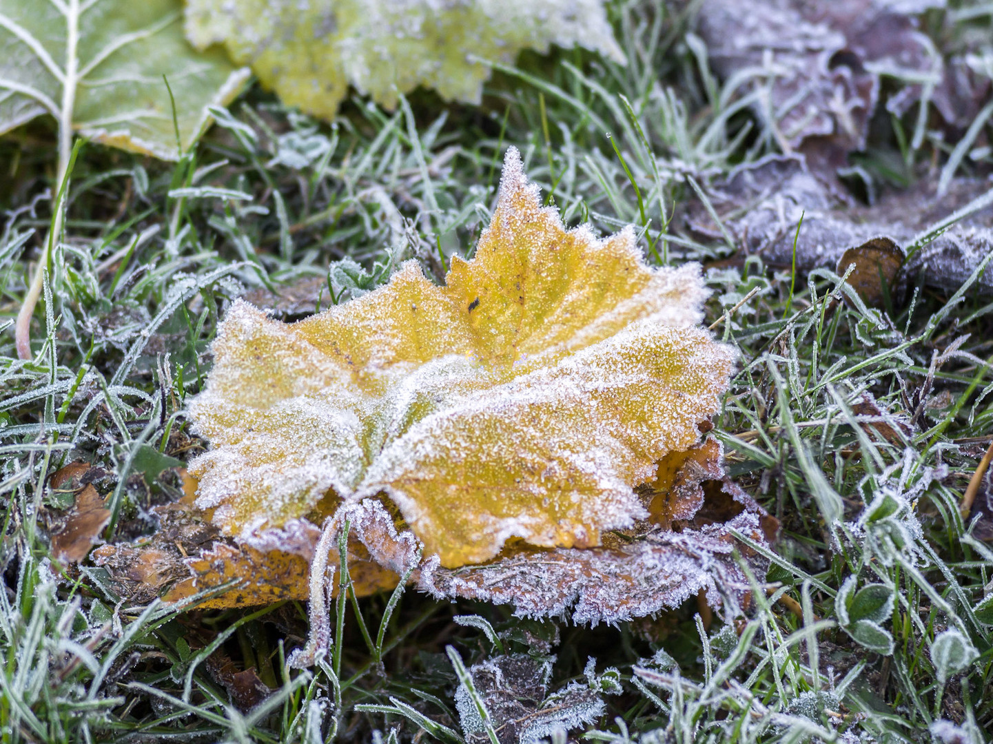 Auf Herbst folgt Winter