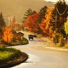 Auf Herbst Wegen rund um den Rotenberg