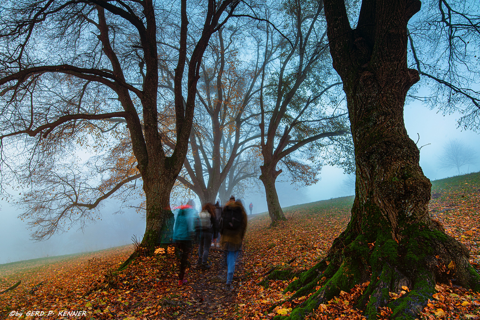 Auf herbstlichen Pfaden