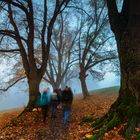 Auf herbstlichen Pfaden