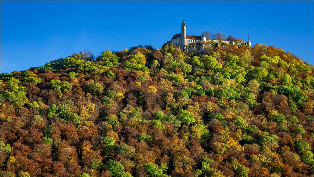 auf Herbstwald gebettet ..