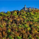 auf Herbstwald gebettet ..