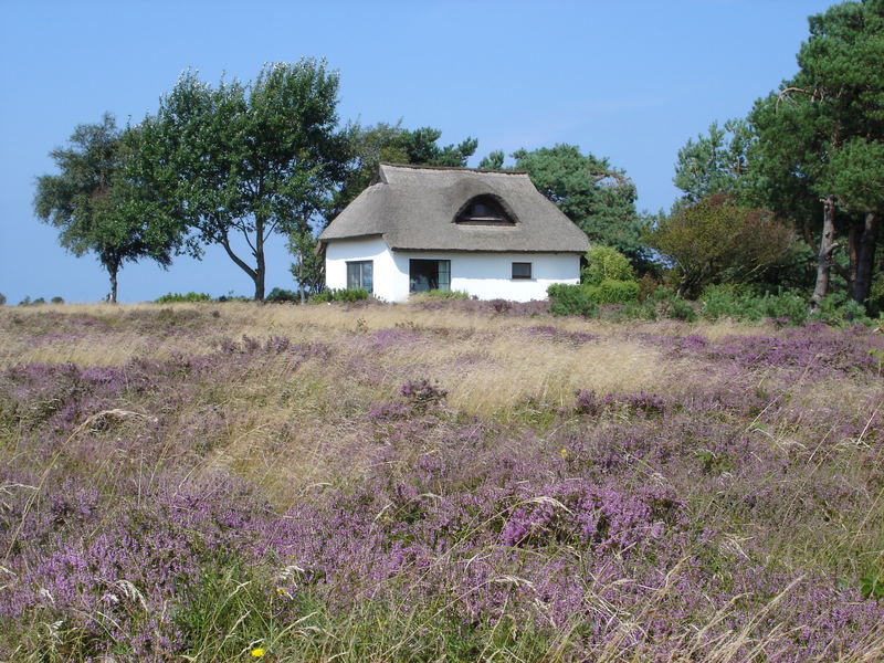 Auf Hiddensee