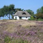 Auf Hiddensee