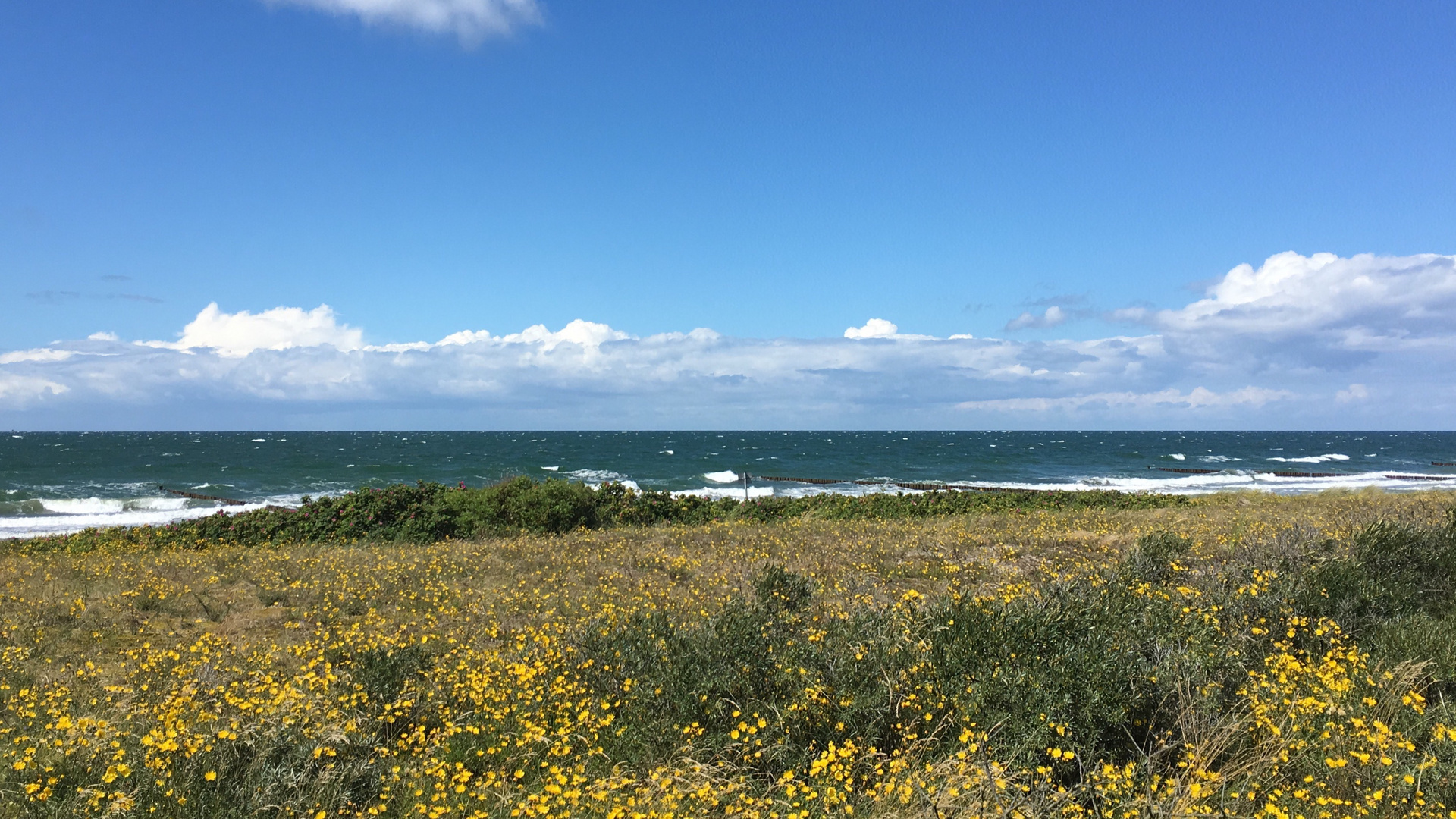 Auf Hiddensee