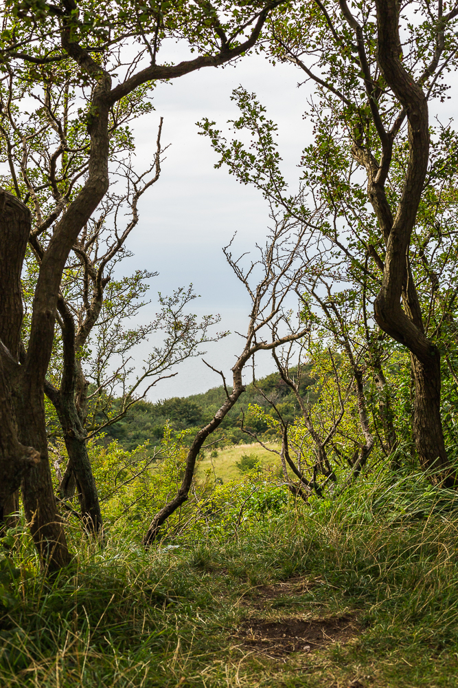 Auf Hiddensee