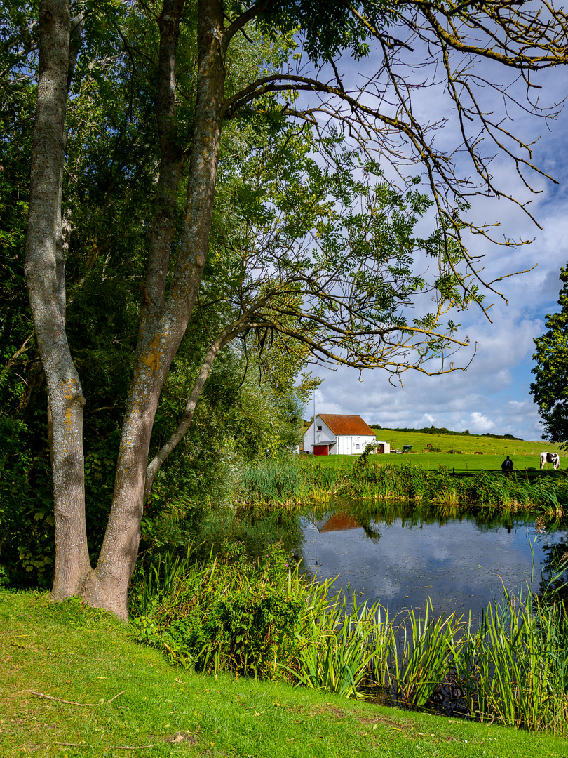 auf Hiddensee