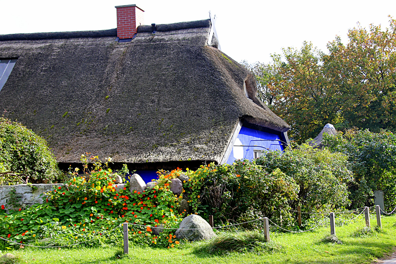 auf Hiddensee