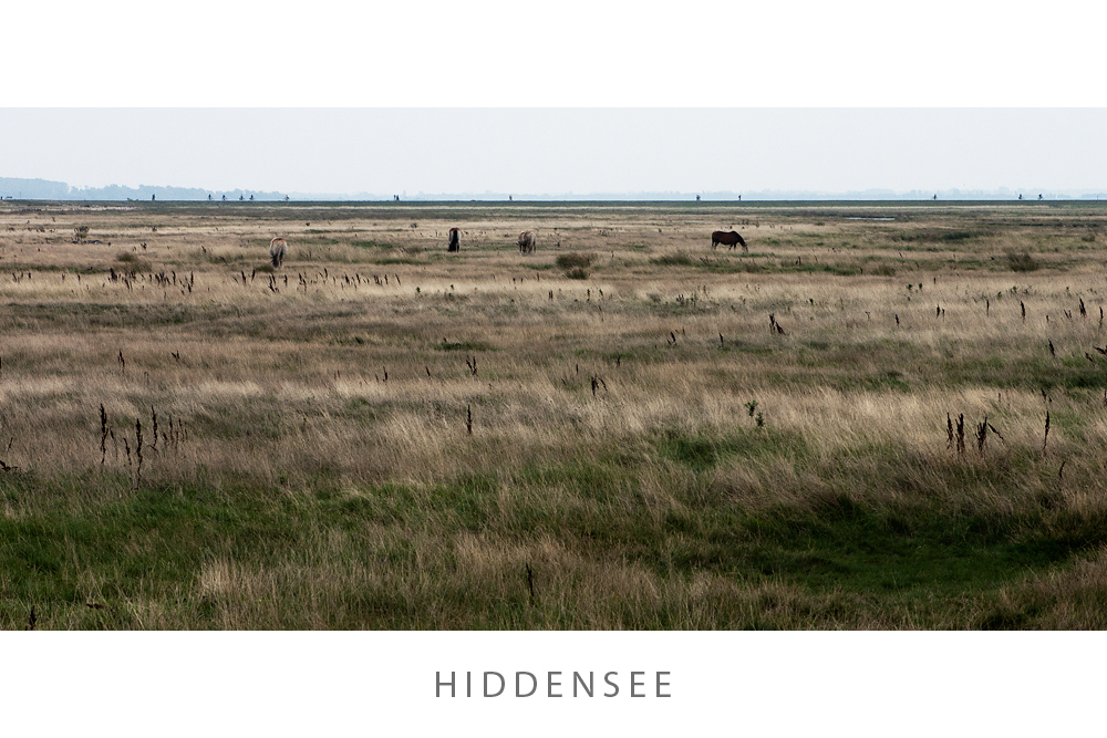 Auf Hiddensee