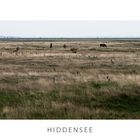 Auf Hiddensee