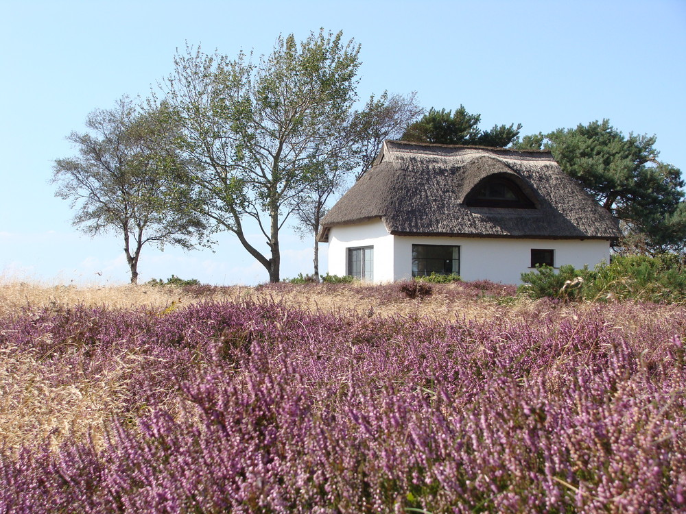 Auf Hiddensee II