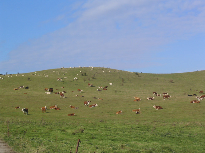 auf Hiddensee - nicht Windows XP