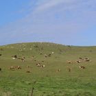 auf Hiddensee - nicht Windows XP