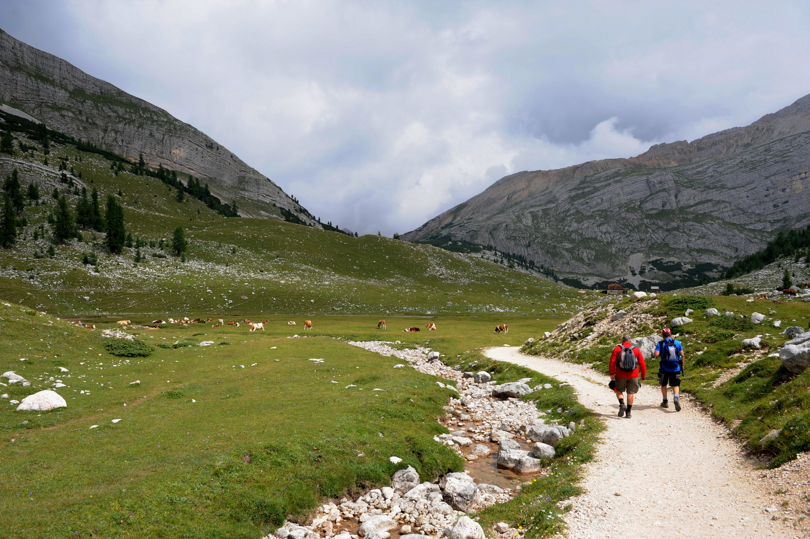  Auf Hoch Fanes befindert sich die Großfanes Alm