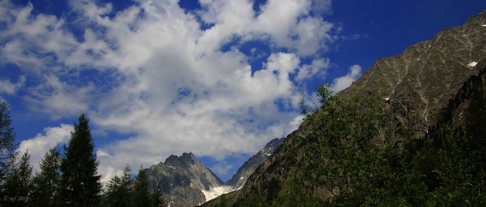 Auf Höhe der Baumgrenze