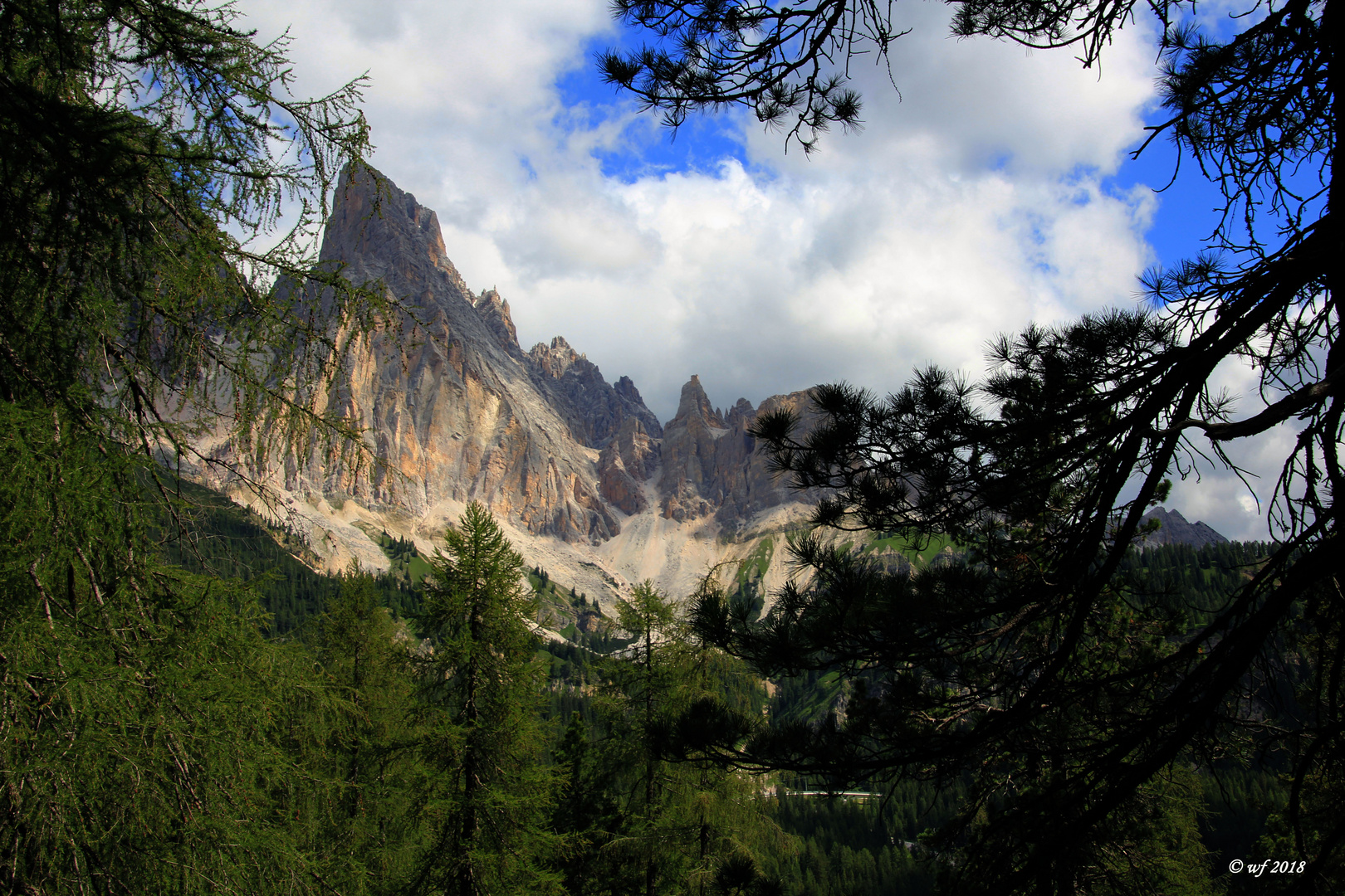 Auf Höhe der Baumgrenze