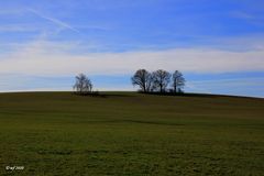 Auf in den Frühling