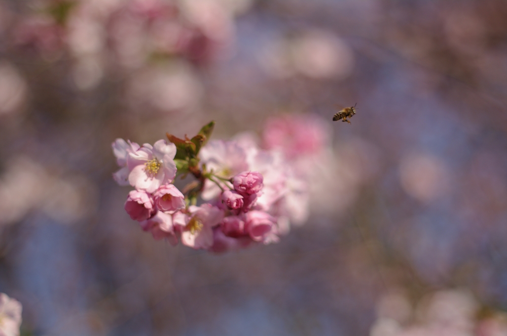 Auf in den Frühling!