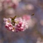 Auf in den Frühling!