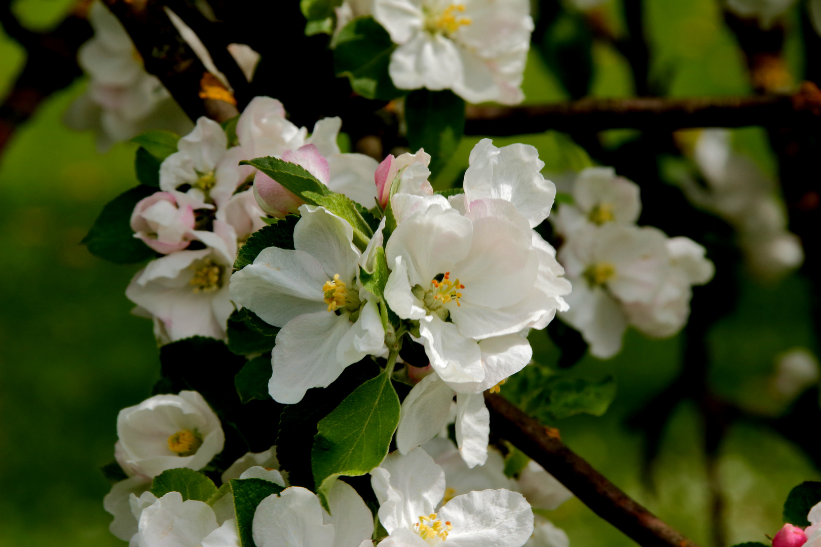 Auf in den Frühling