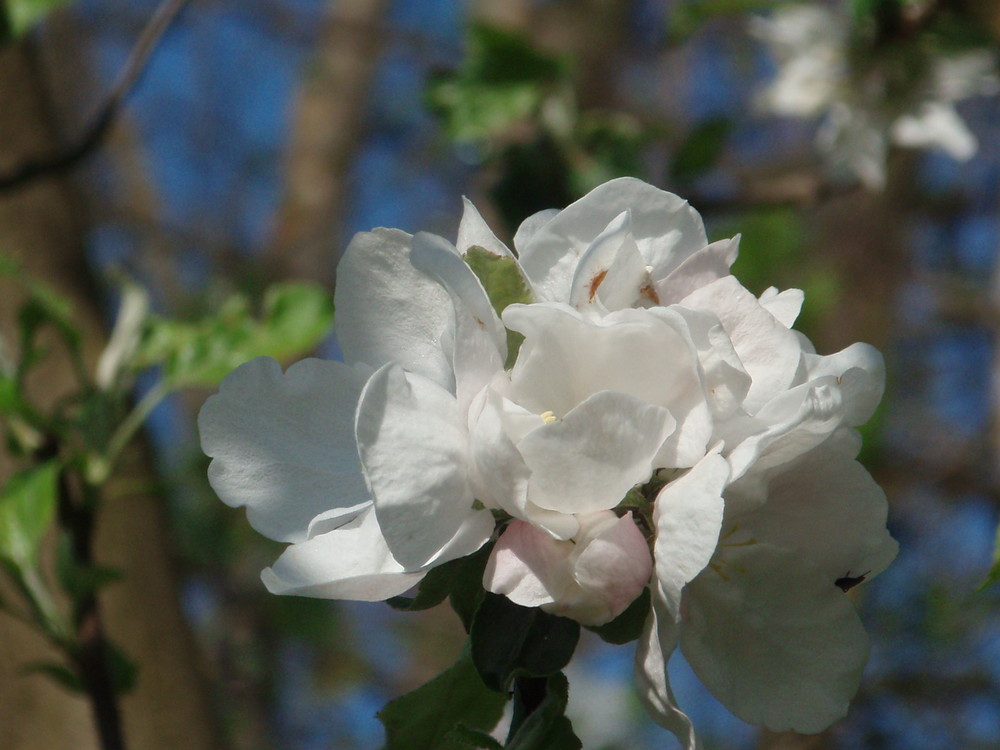 Auf in den Frühling