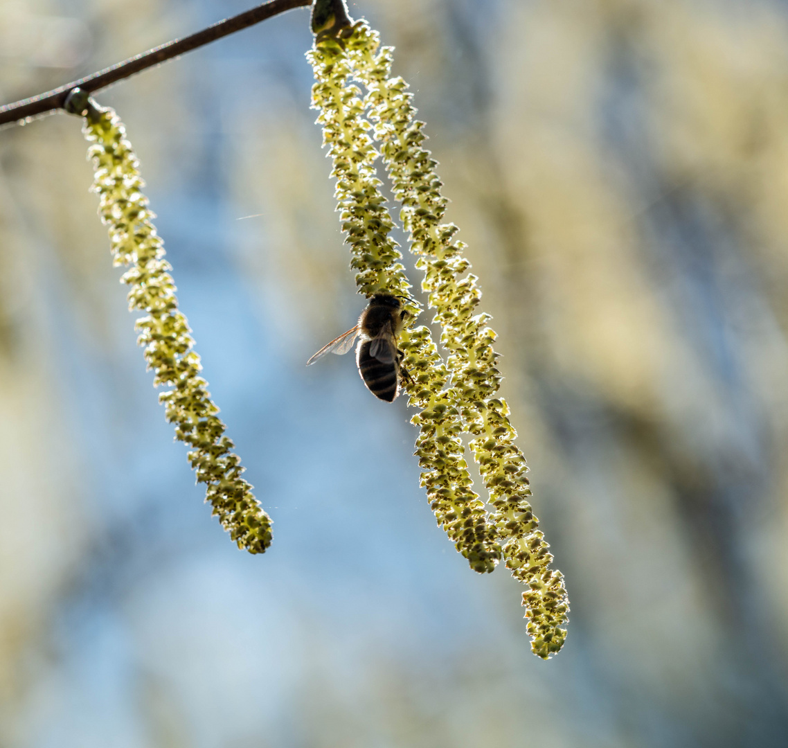 Auf in den Frühling