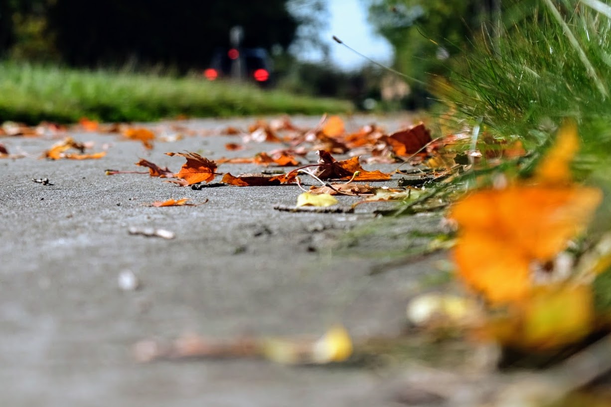 Auf in den Herbst