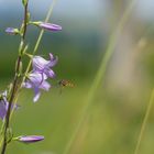 Auf in den Sommer