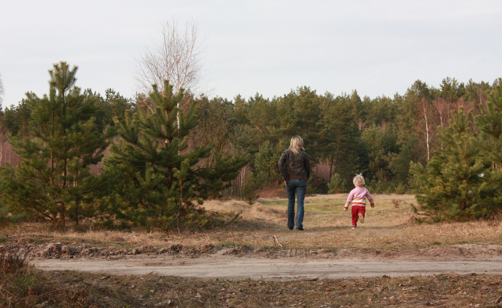 Auf in den Wald