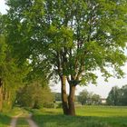 Auf in den Wald - wunderschön und grün!