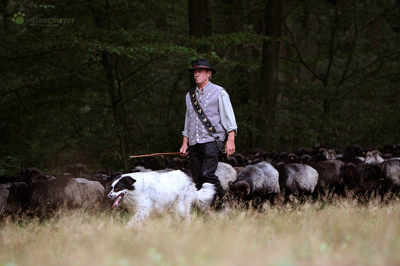 Auf in die Heide