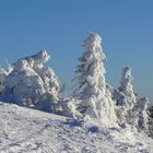 auf in die Hütte - auch Arbermandl trinken gern Jagertee