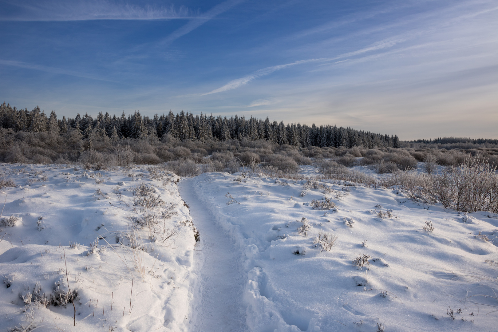 Auf in die Winterlandschaft...