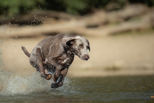 Auf, in ein erfrischendes Wochenende!