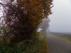 Auf in einen schönen Tag im Nebel