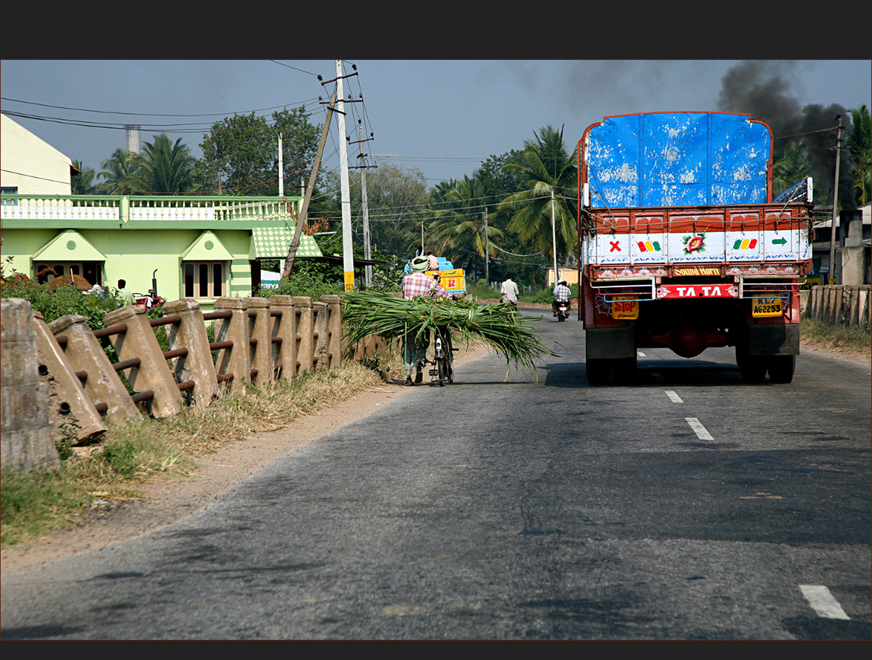 auf Indiens Straßen (4)