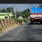 auf Indiens Straßen (4)